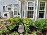 Beautiful front garden
