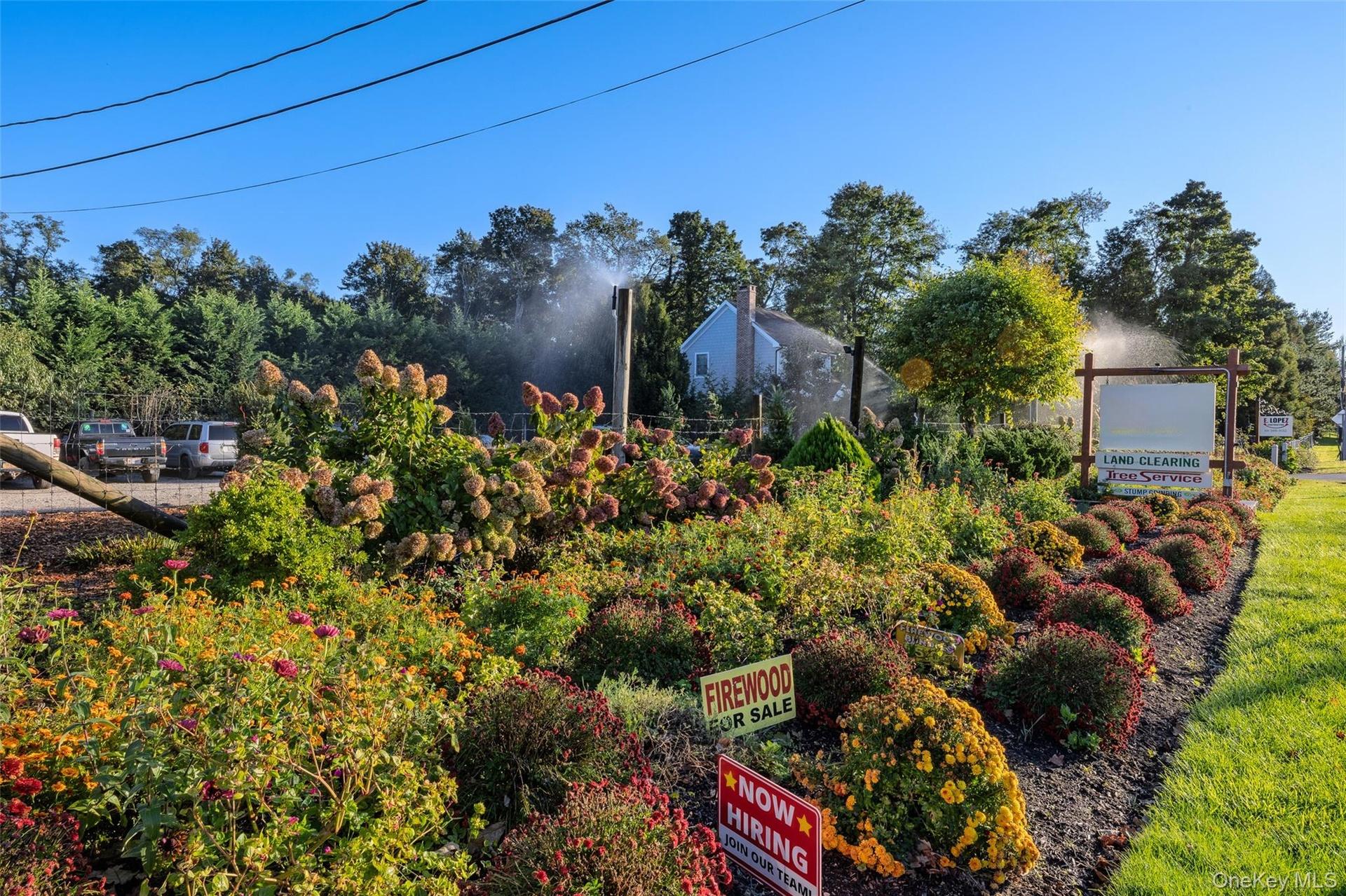 Property/nursery road frontage