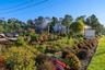 Property/nursery road frontage