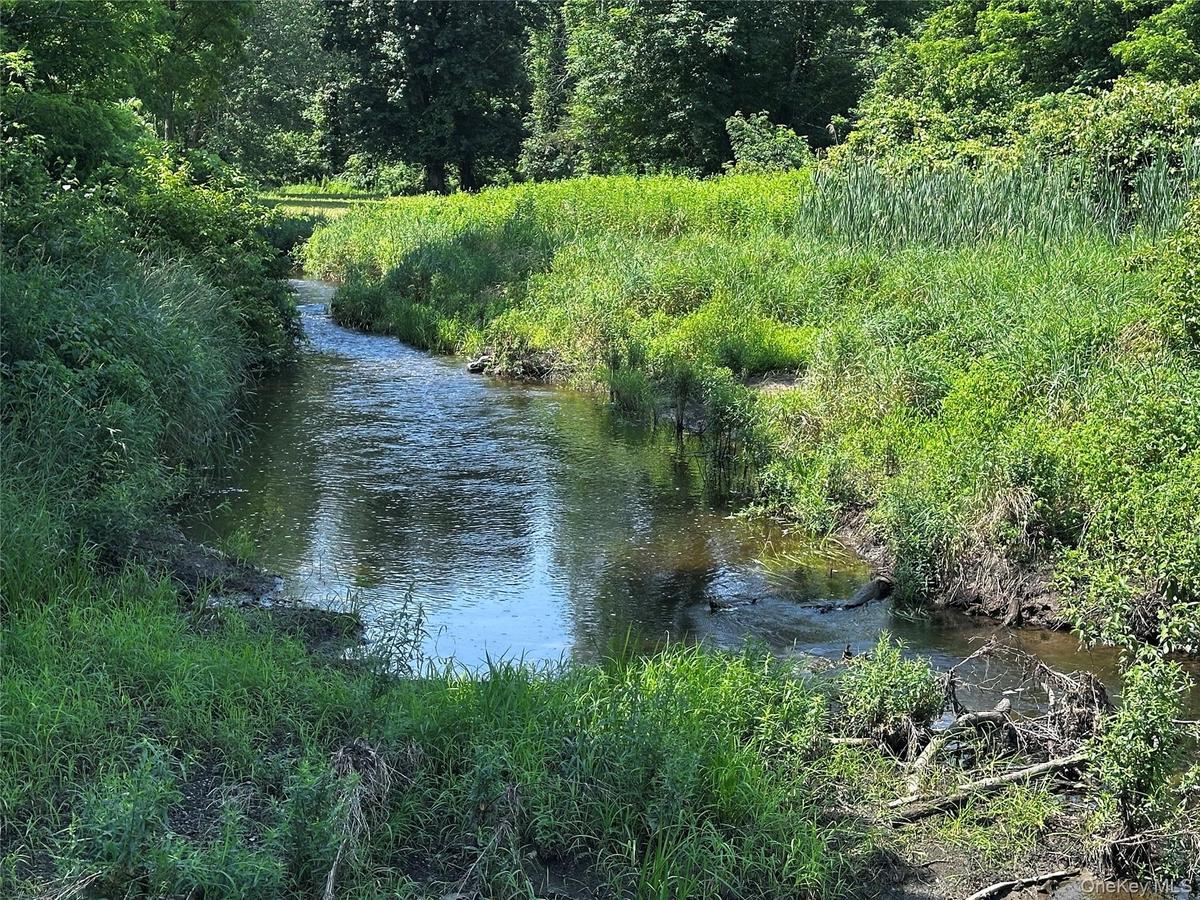 Water view with a heavily wooded area