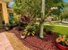 Landscaped garden bed featuring decorative red rock mulch, variegated foliage, a mature tree, and a paved walkway