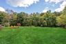 Huge Yard
