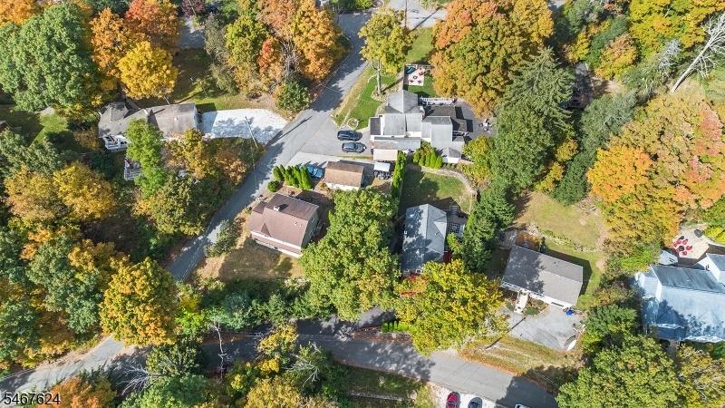 Drone view