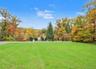 Expansive open lawn featuring mature trees and established perimeter foliage