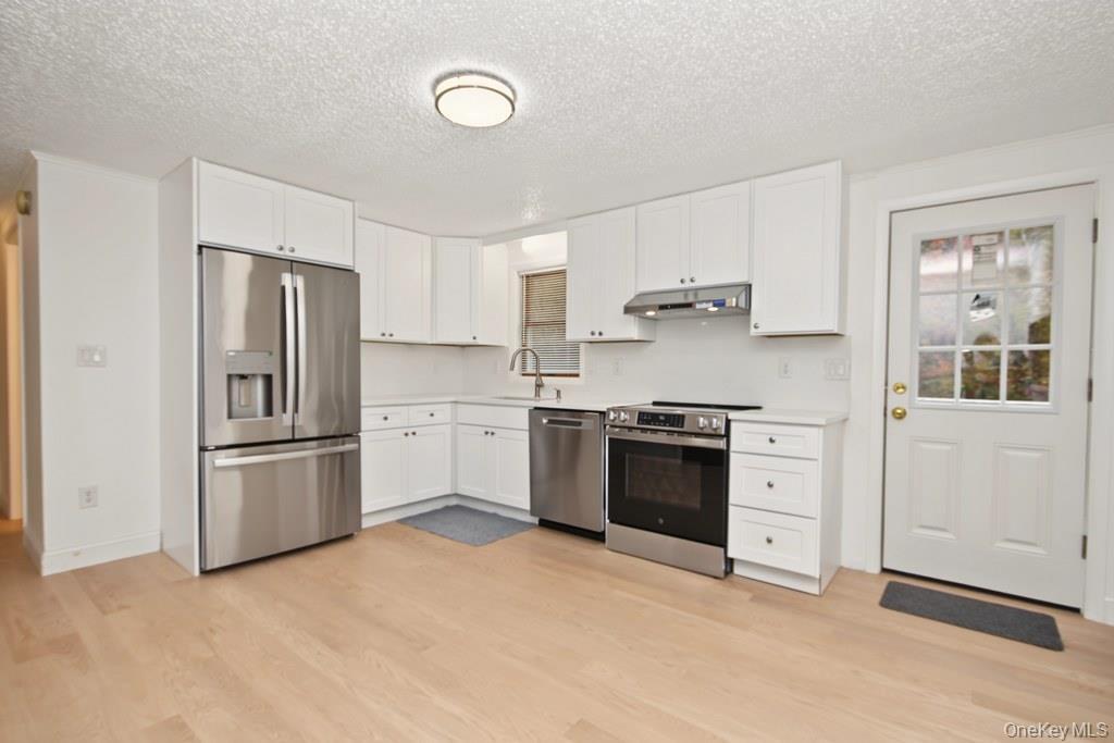 Kitchen featuring white cabinetry, stainless steel appliances, wood-finish flooring, a farmhouse-style sink faucet, and a paneled exterior door with g