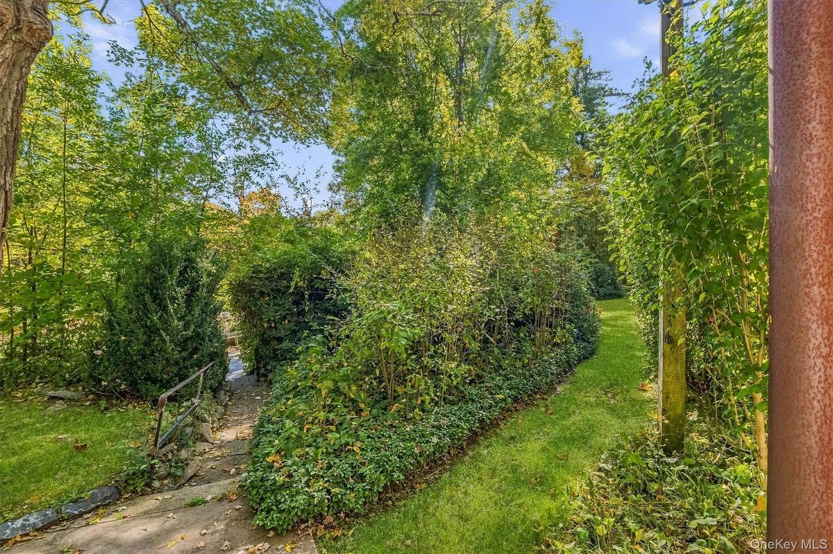 Check out this Yard