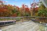 Deck off dining room! Wood deck featuring perimeter balusters and backdrop of mature deciduous trees