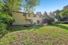 Back yard-2