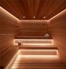 Custom-built sauna featuring tongue-and-groove wood paneling, multi-level tiered benches, recessed ceiling lighting, and integrated linear LED accent 