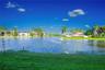 Waterfront property featuring a lake with a central fountain, manicured lawn, and mature palm trees