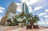 High-rise building with glass facade, paved pedestrian plaza, native palm trees, and waterfront hardscaping
