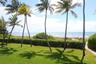 Lawn area featuring mature palm trees, perimeter shrubbery, and sandy pathway with immediate proximity to the coastline