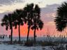 Siesta Sun Sets