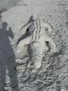 Siesta Sand Crafts