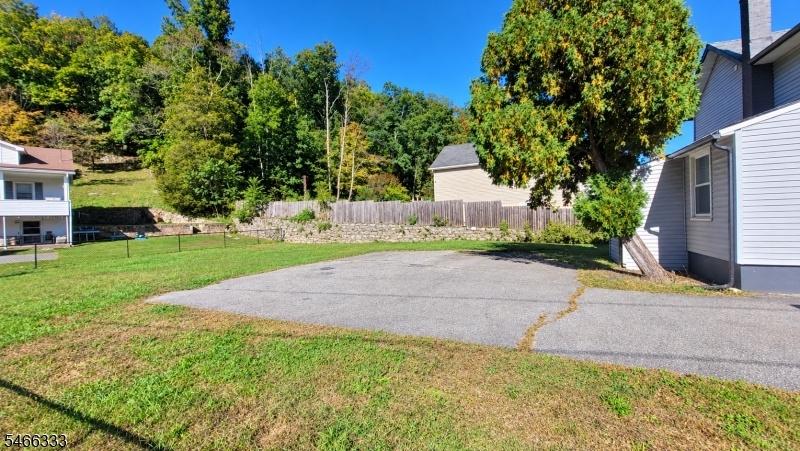 Backyard and driveway