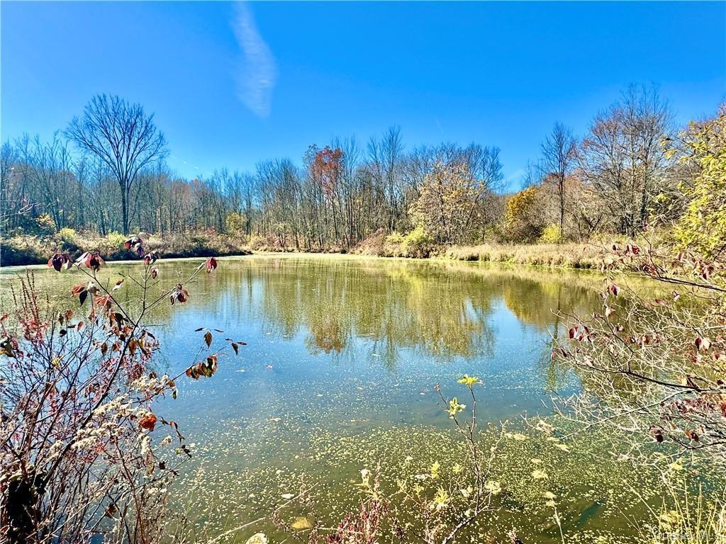 Lake on the property
