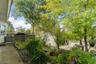 Perennial garden