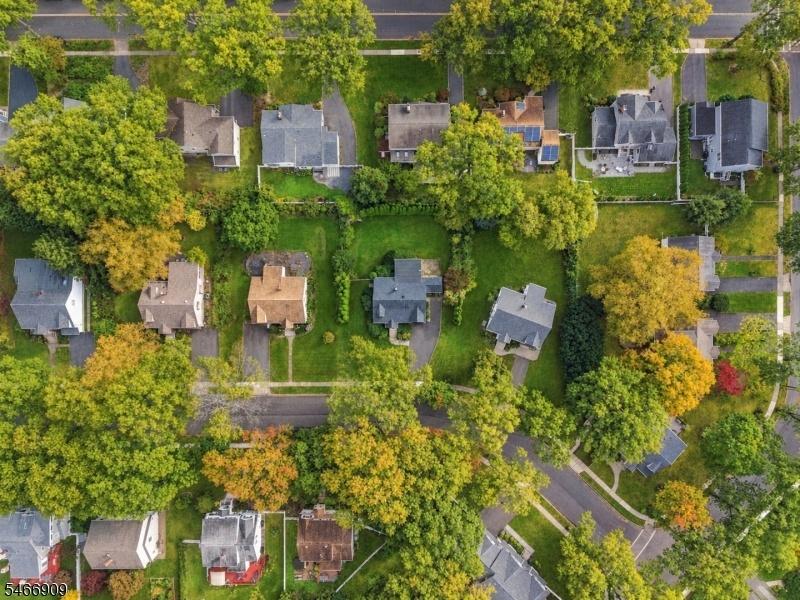 Lovely Neighborhood