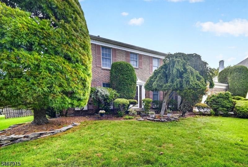 Mature Landscaping