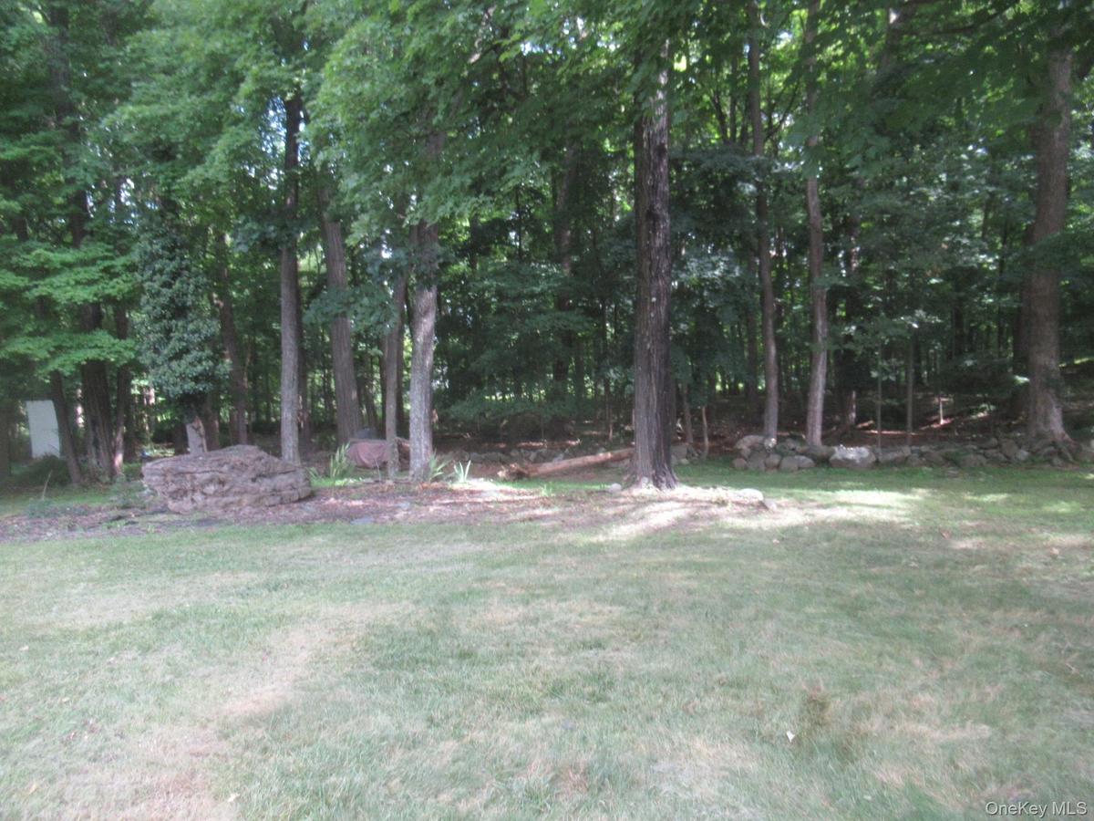 Wooded rear yard