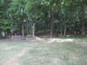 Wooded rear yard