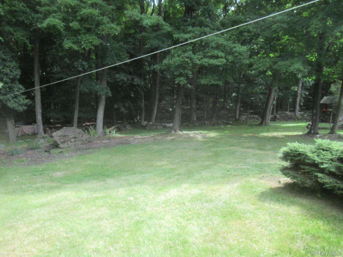 Back yard