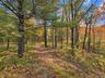 Woodland path connects house and barn