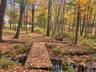 Seasonal creek footbridge