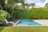 Rectangular swimming pool featuring a light-toned stone surround, wood-finish decking, and an expansive backdrop of manicured hedges and mature palm t