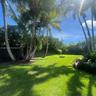 Expansive backyard featuring a grass lawn, mature palm trees, perimeter fencing, and a stone-bordered fire pit