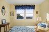 an abundant of natural sunlight