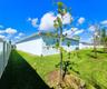 8896 Drummer Plank Dr, Wesley Chapel, FL 33545: Partially Fenced, SFH, One Story, 2590sf, Built in 2022, 3 bedrooms, 2.5 bathrooms, 2 car attached gar