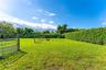 Expansive backyard featuring a covered outdoor kitchen, stone-accented grilling station, paved walking path, and mature specimen tree