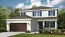 Bahama Rendering