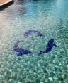 Tiled dolphins pool bottom