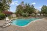 Pool and yard