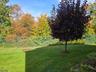 Back yard views!