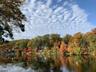 Fall View