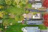 Birds Eye