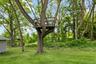 View of green lawn with a treehouse