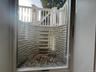 Egress Window