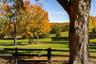 Side yard/paddock included in the 2 acres