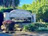 Winter Park Pines Subdivision