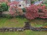 Tiered backyard