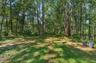 Trails in the wooded lots