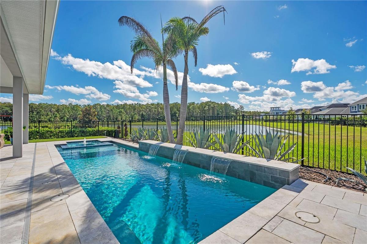 Private heated salt water pool framed by palms and a fenced yard with a water and conservation view. Lake Nona pool home living in Laureate Park, Orla