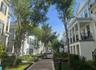beautiful treelined mews and walking path