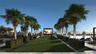Rooftop terrace featuring a large media screen, artificial turf lawn, manicured privacy hedges, mature palm trees, and an expansive pool