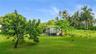 Expansive outdoor space featuring a manicured lawn, established fruit-bearing trees, palms, and a detached storage structure