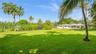 Expansive rear grounds featuring a manicured lawn, established palm trees, and mature landscaping